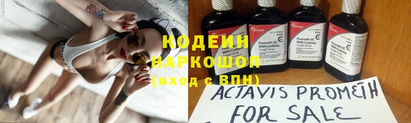 прущие грибы Армянск
