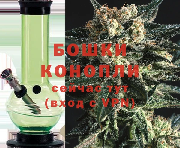 дурь Аркадак
