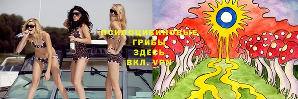 каннабис Арсеньев