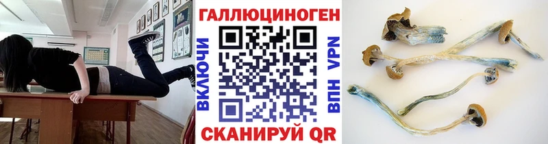 блэк спрут tor  Тавда  Псилоцибиновые грибы мухоморы 